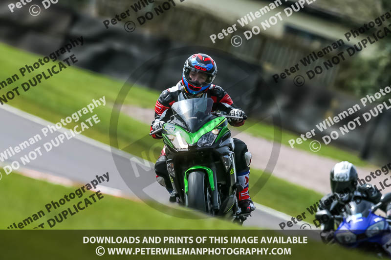 Oulton Park 21st March 2020;PJ Motorsport Photography 2020;anglesey;brands hatch;cadwell park;croft;donington park;enduro digital images;event digital images;eventdigitalimages;mallory;no limits;oulton park;peter wileman photography;racing digital images;silverstone;snetterton;trackday digital images;trackday photos;vmcc banbury run;welsh 2 day enduro